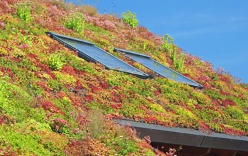 Scrayingham living roof systems